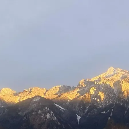 Alpenblick Comfortable Casa vacanze