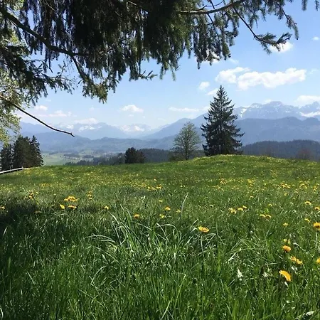 Alpenblick Comfortable