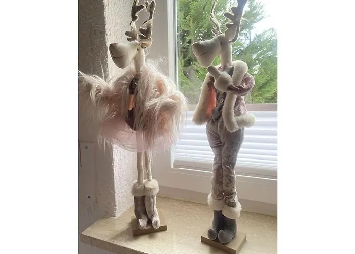 Alpenblick Comfortable 度假居